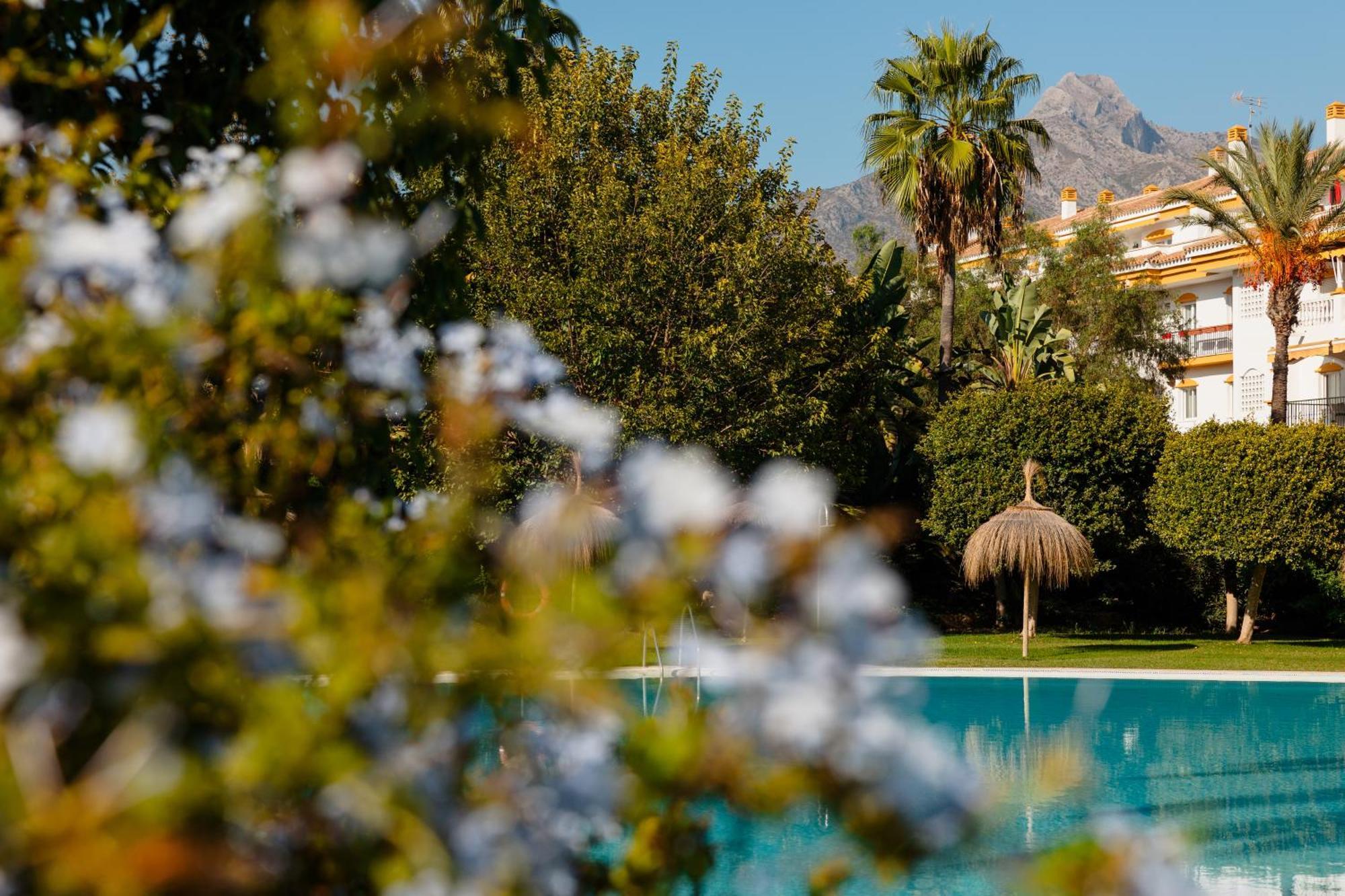 Ground Floor Holiday Apartment With Terrace And Pool In Puerto Banus, Μαρμπέλλα Εξωτερικό φωτογραφία